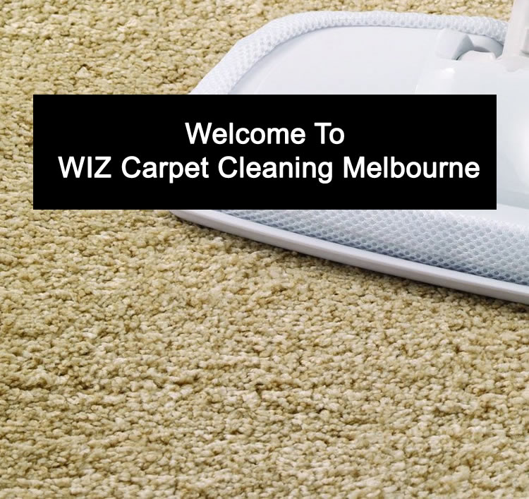 Welcome To Wiz Carpet Cleaning Melbourne